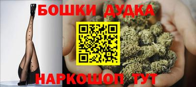 индика Лесосибирск