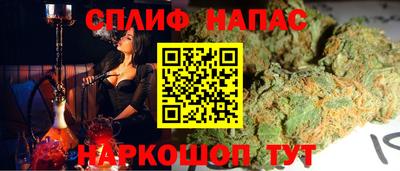 индика Лесосибирск