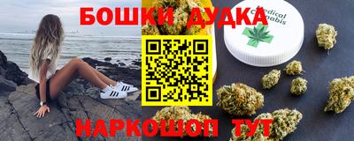 индика Лесосибирск