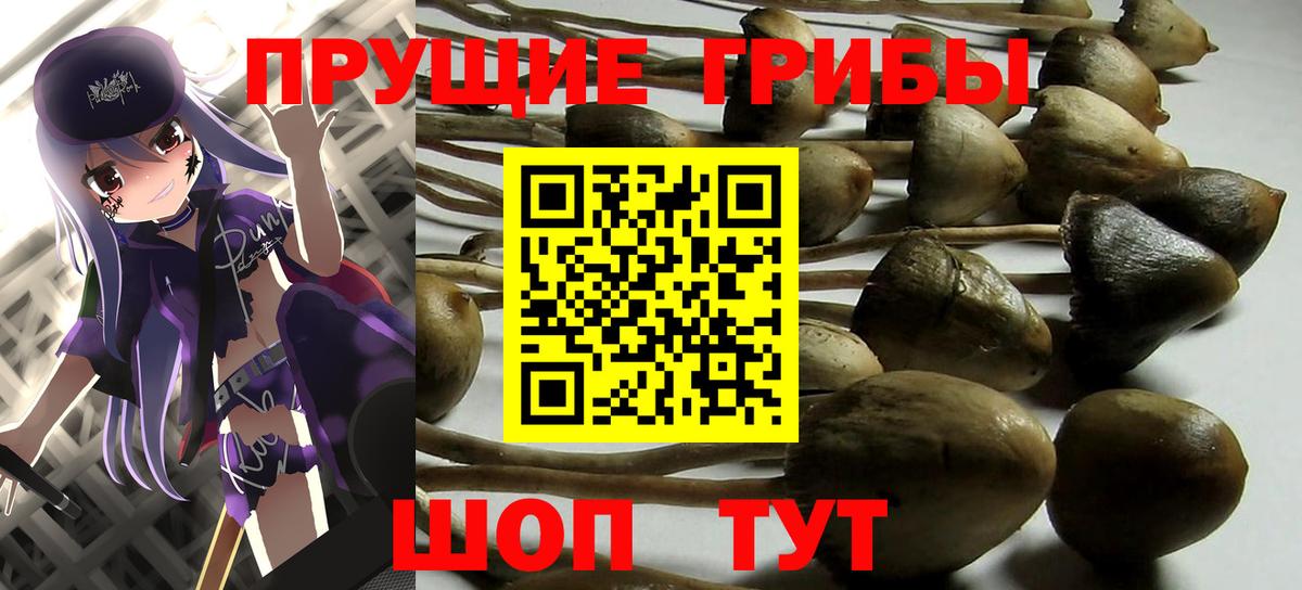 Галлюциногенные грибы Psilocybine cubensis  Вход с VPN  Грязи 